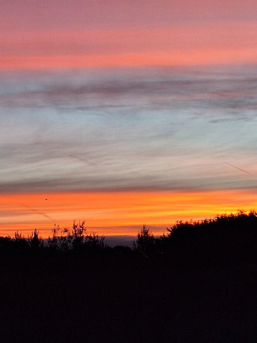 Heidi_Swain's tweet photo. I enjoyed an idyllic #October #earlywalk today. Chilly enough to need a hat, but not cold enough to be uncomfortable.
First came the #sunrise, then a #kestrel, 14 #geese vocally heading to #northnorfolk, a bold #muntjac and finally #pockettreasure to carry home from the #woods https://t.co/9IofiJ1BcZ
