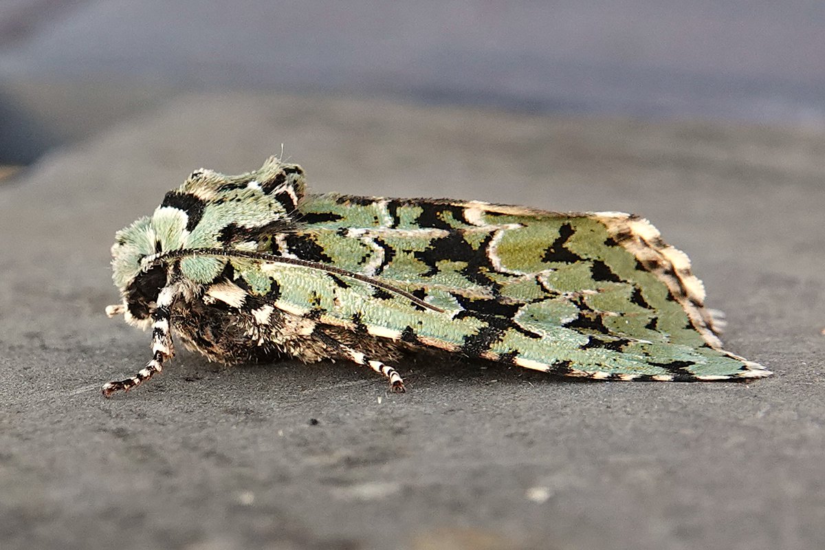 James Hunter tweet media