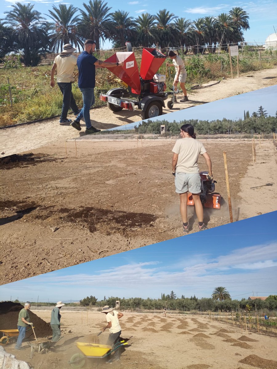 AgrosimbiosisLab (@agrosimblab) on Twitter photo 👨🏾🌾🌻👩🏾🌾Los esperamos el 15 de octubre!! El espacio, los 📖⛏️materiales pedagógicos y los 🌿insumos agrícolas ya están dispuestos para el curso de Sistemas Agroforestales Agroecológicos 🌳🌱🪻🌿🌳
Cuenta con el apoyo de <a href="/FBiodiversidad/">Fundación Biodiversidad</a>
<a href="/OficinaMarMenor/">Oficina Técnica del Mar Menor</a> <a href="/mitecogob/">Transición Ecológica y Reto Demográfico</a> #MiMarMenor 👨🏾🌾🌻👩🏾🌾Los esperamos el 15 de octubre!! El espacio, los 📖⛏️materiales pedagógicos y los 🌿insumos agrícolas ya están dispuestos para el curso de Sistemas Agroforestales Agroecológicos 🌳🌱🪻🌿🌳
Cuenta con el apoyo de <a href="/FBiodiversidad/">Fundación Biodiversidad</a>
<a href="/OficinaMarMenor/">Oficina Técnica del Mar Menor</a> <a href="/mitecogob/">Transición Ecológica y Reto Demográfico</a> #MiMarMenor