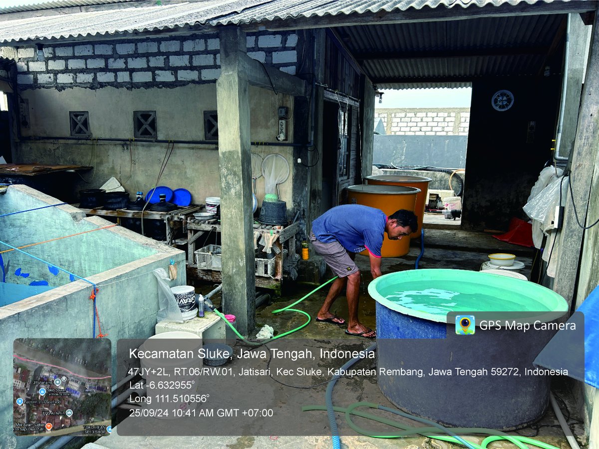 AdeHeryanto's tweet photo. Rabu, 25/09/2024 Luhkan Ade Novie Heryanto, S.Pi., https://t.co/yK6bMQDedu Melaksanakan kegiatan pendampingan di POKDAKAN HSRT BENUR SARI Ds Jatisari- Kecamatan Sluke sebagai Pokdakan penerima bantuan Nauplii dari BBPBAP Jepara Tahun 2024 https://t.co/kKRs3MFRdk