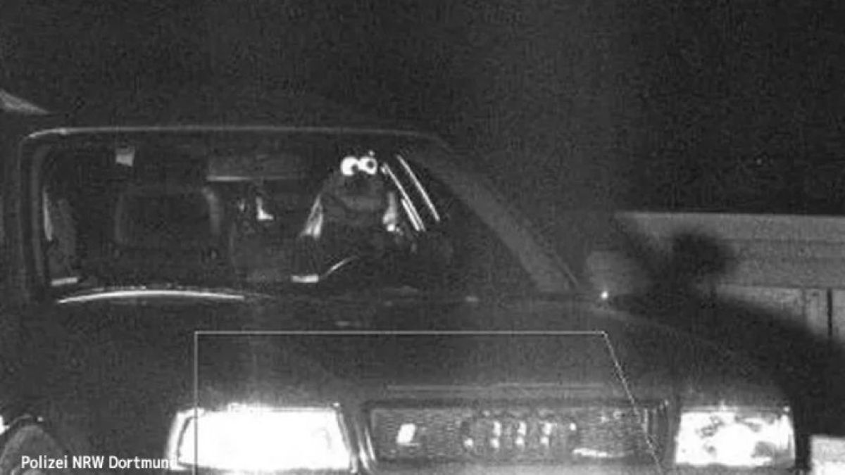 karapaia's tweet image. クッキーモンスターが高速道路でスピード違反、警察が捜索中
karapaia.com/archives/45866…

たしかにこの姿は紛れもなく『セサミストリート』所属のメンバー、クッキーモンスターである。ドイツの高速道路で、クッキーモンスターが運転する車が、速度違反自動取締カメラに記録された。