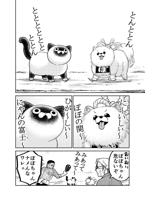 野良猫とポメラニアンと元極道2人が相撲を取る話。

(0/4)

#漫画が読めるハッシュタグ  
#猫にカチ込まれる暮らし 