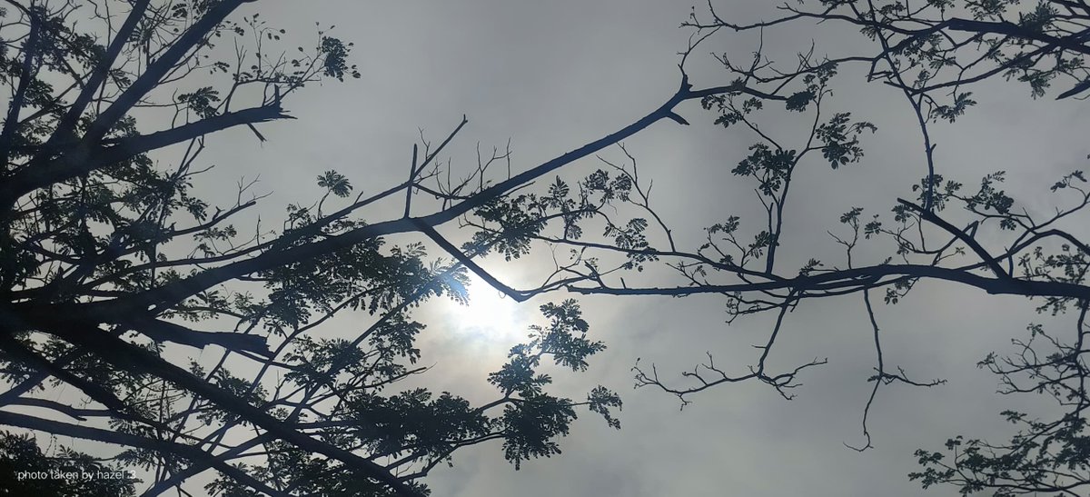 zethics 🍉 tweet media