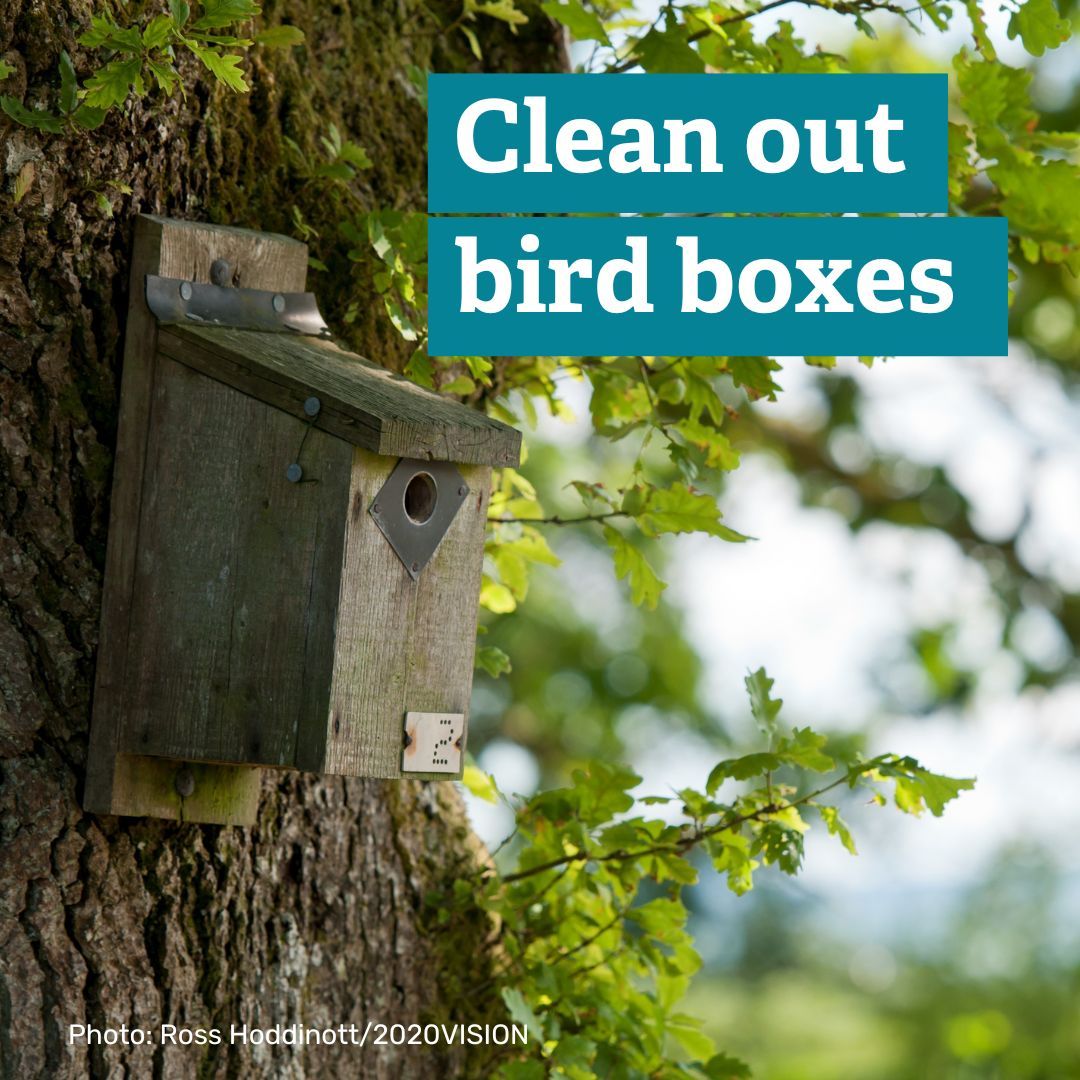 BBOWT's tweet image. From protecting your fruit trees to making the most of the autumn rain, read our blog for tips on how you can garden for wildlife in October: buff.ly/3YgbSCy