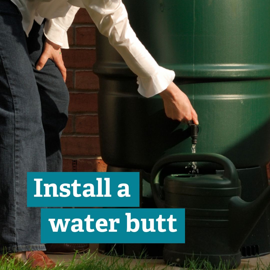 BBOWT's tweet image. From protecting your fruit trees to making the most of the autumn rain, read our blog for tips on how you can garden for wildlife in October: buff.ly/3YgbSCy