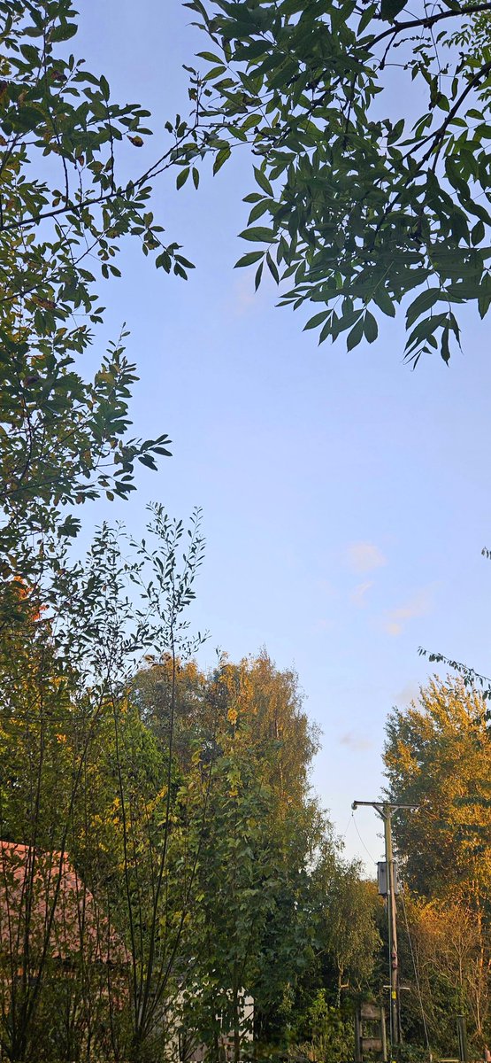 Hello from North Yorkshire. Peaceful. (May need a click.) #Trees #Autumn #Sky  #Garden #Yorkshire