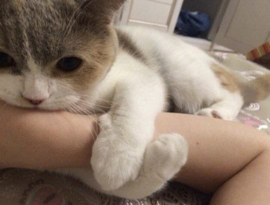 Don't leave me