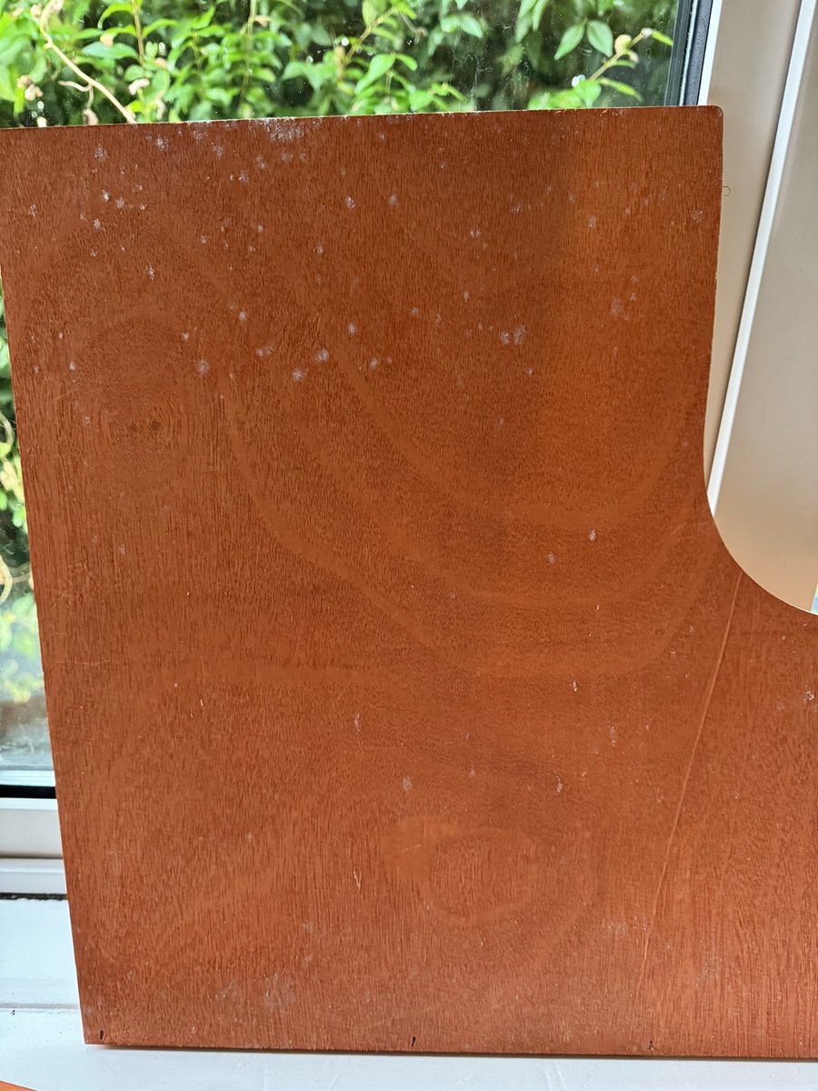 Nancy Ellis tweet media