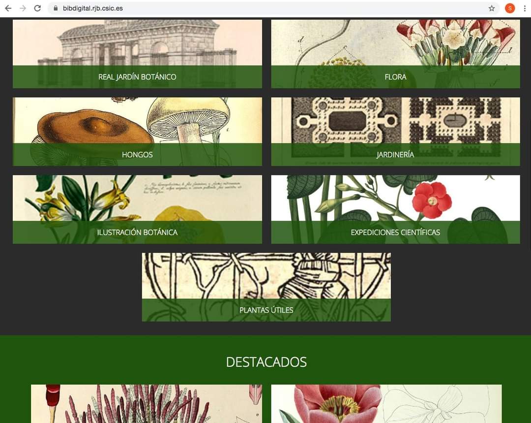 Mi amiga Laura -ratona de biblioteca ella- me ha descubierto la Biblioteca Digital del Real Jardín Botánico y aquí estoy, perdiendo el gusto, el norte, los libros y el sentidiño. 

Si os apetece echar un vistazo: 
bibdigital.rjb.csic.es