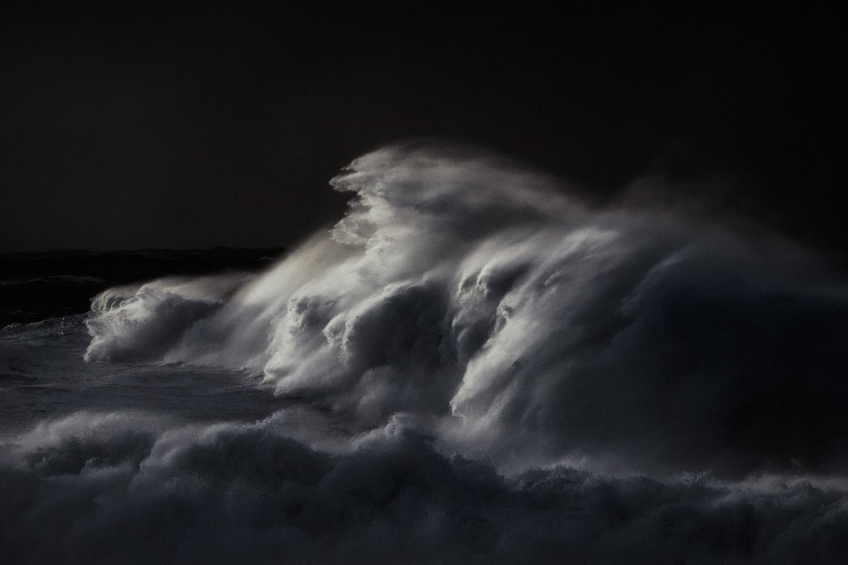 Verity Milligan tweet media