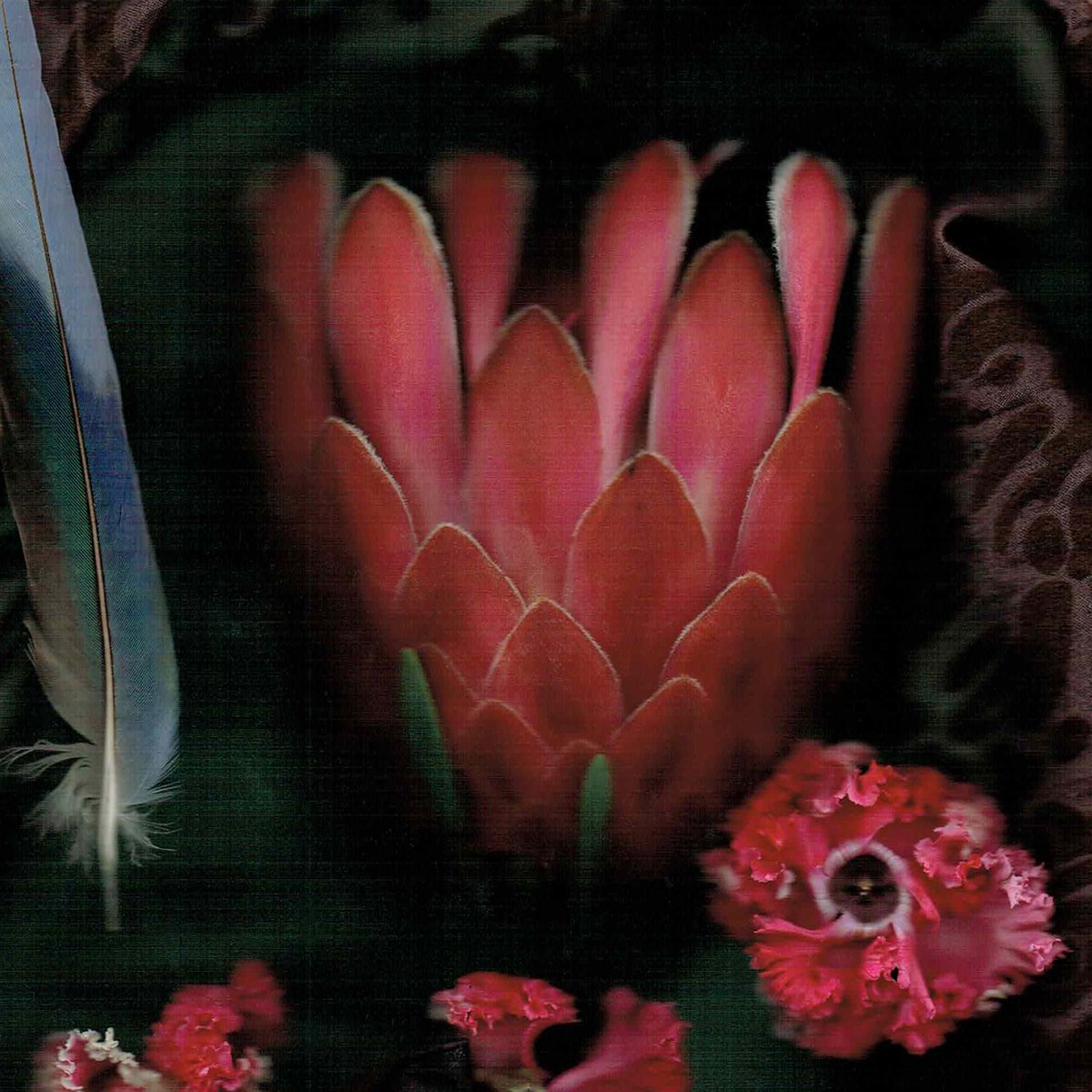 Celeste Sterling tweet media