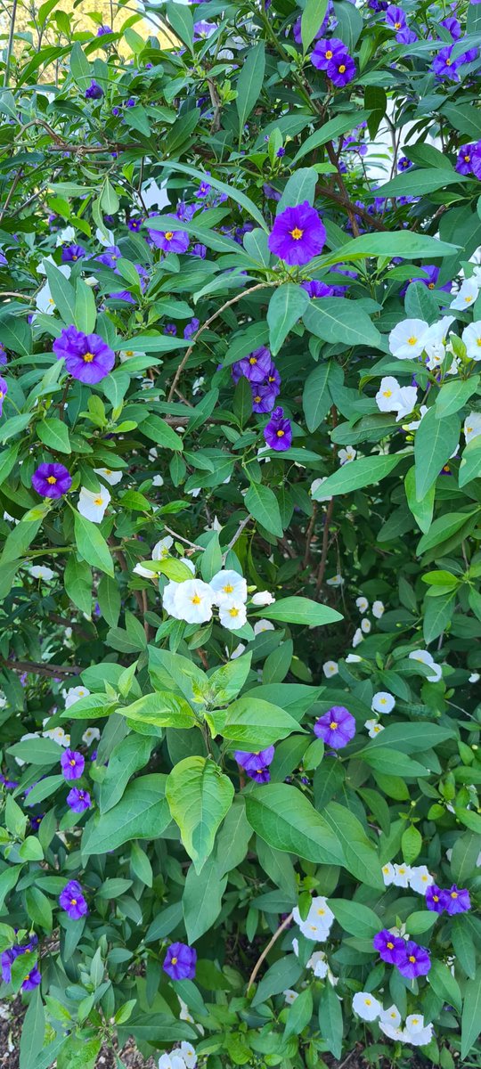 ZeroNodi's tweet image. C&apos;è un mondo a colori per ogni stagione ...
#runningtime 🏃🏃