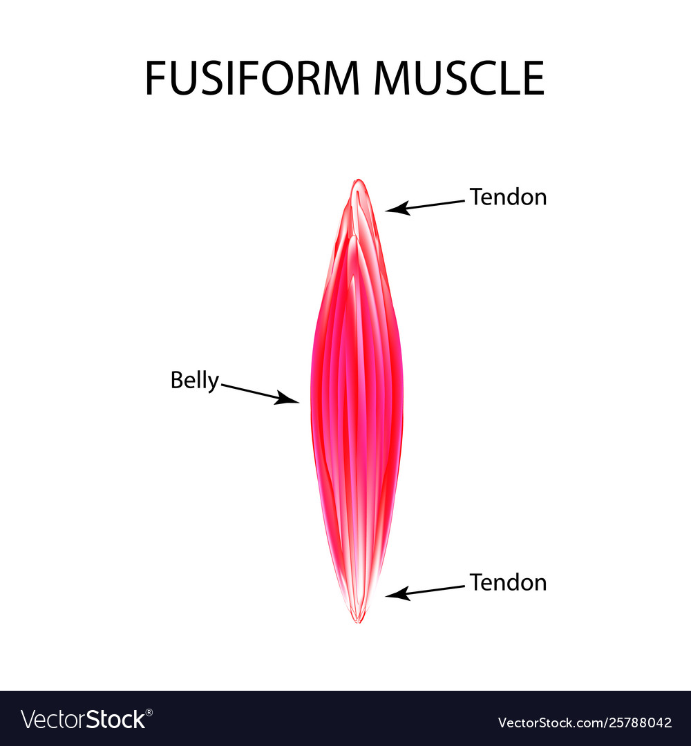 Toby Gilbert tweet media