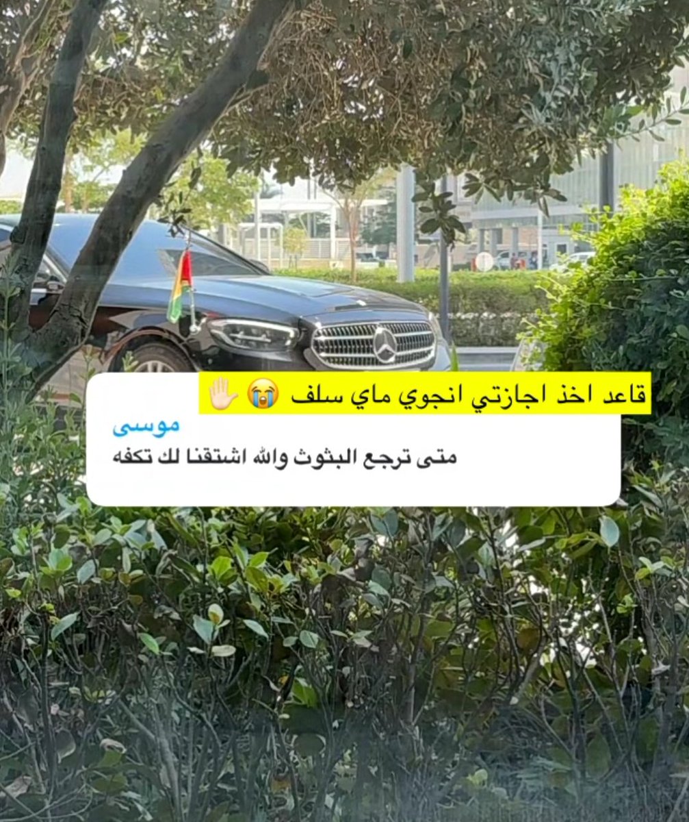 صح من حقك انجوي مستر سبايكي😔✨
#سبايكي