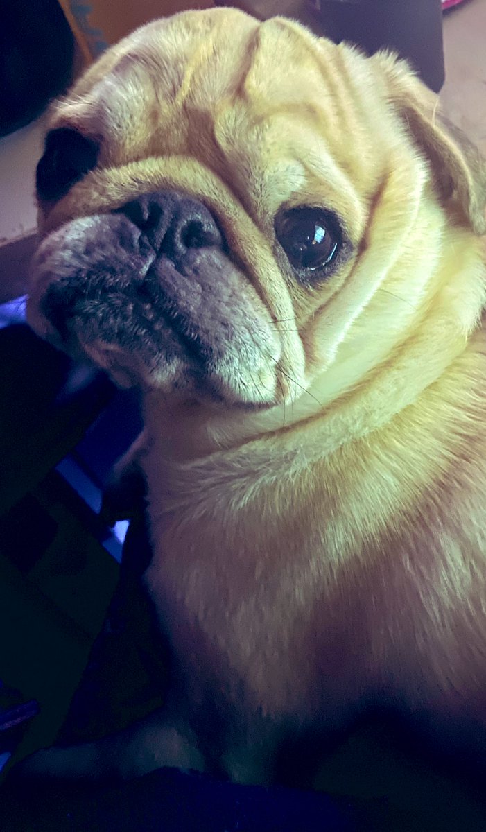 Bleibe heute off, morgen Diablo und Wukong ♥️