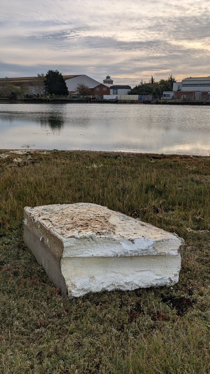 Tim Ferrero (@psammonaut) on Twitter photo My favourite scrap of #Gosport saltmarsh taking a pounding this morning from rafted algal overgrowth and marine mega-litter: a sofa "corpse", old mooring buoy and a pontoon, stuffed with an eye watering load of future #marinemicroplastics !
<a href="/HIWWTMarine/">Hampshire & IOW Wildlife Trust Marine</a> <a href="/solentseascape/">Solent Seascape Project</a> My favourite scrap of #Gosport saltmarsh taking a pounding this morning from rafted algal overgrowth and marine mega-litter: a sofa "corpse", old mooring buoy and a pontoon, stuffed with an eye watering load of future #marinemicroplastics !
<a href="/HIWWTMarine/">Hampshire & IOW Wildlife Trust Marine</a> <a href="/solentseascape/">Solent Seascape Project</a>