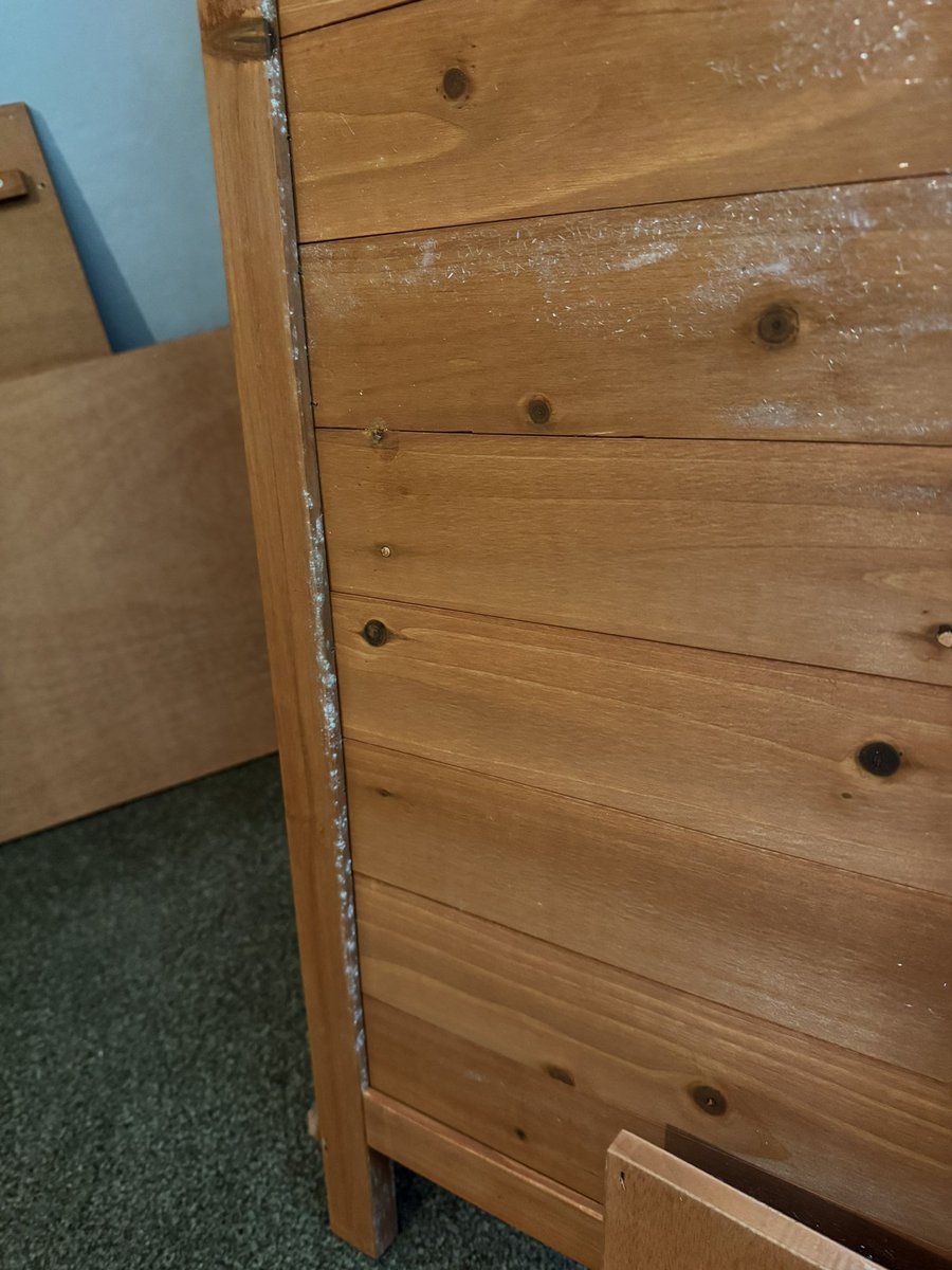 Nancy Ellis tweet media