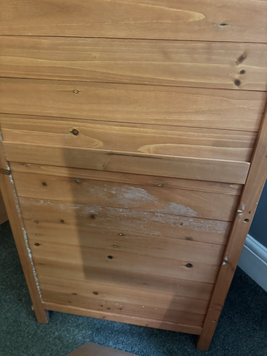 Nancy Ellis tweet media