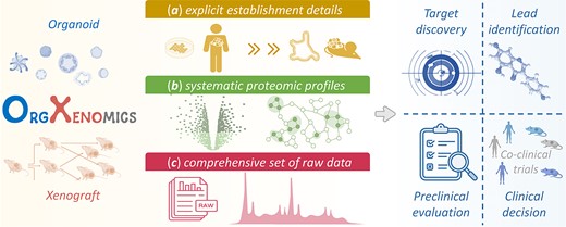 Organoid News (@organoidscience) on Twitter photo 📊 An integrated database named ‘OrgXenomics’ was developed to provide the proteomic data for patient-derived models.
Check it out! <a href="/NAR_Open/">Nucleic Acids Res</a> | bit.ly/3ZWVnfE 📊 An integrated database named ‘OrgXenomics’ was developed to provide the proteomic data for patient-derived models.
Check it out! <a href="/NAR_Open/">Nucleic Acids Res</a> | bit.ly/3ZWVnfE
