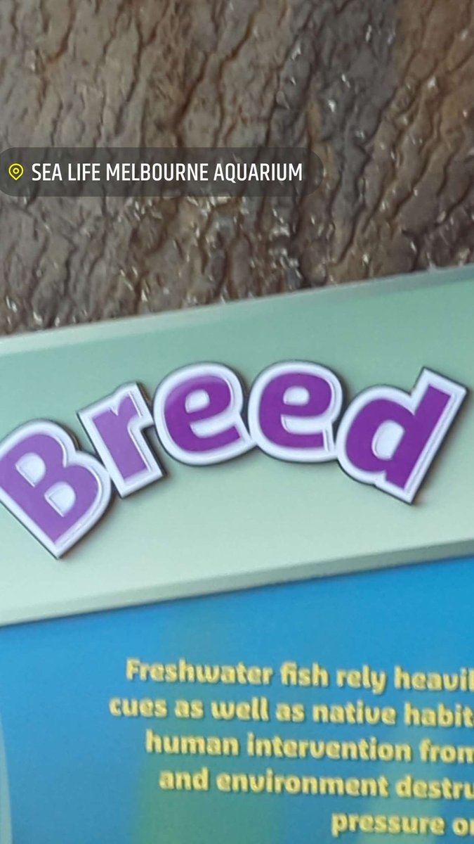 SometimesBuzz's tweet image. Once again, didn't take many photos at pax but it was amazing to see all my friends and get to spend all day standing in queues with them ❤️