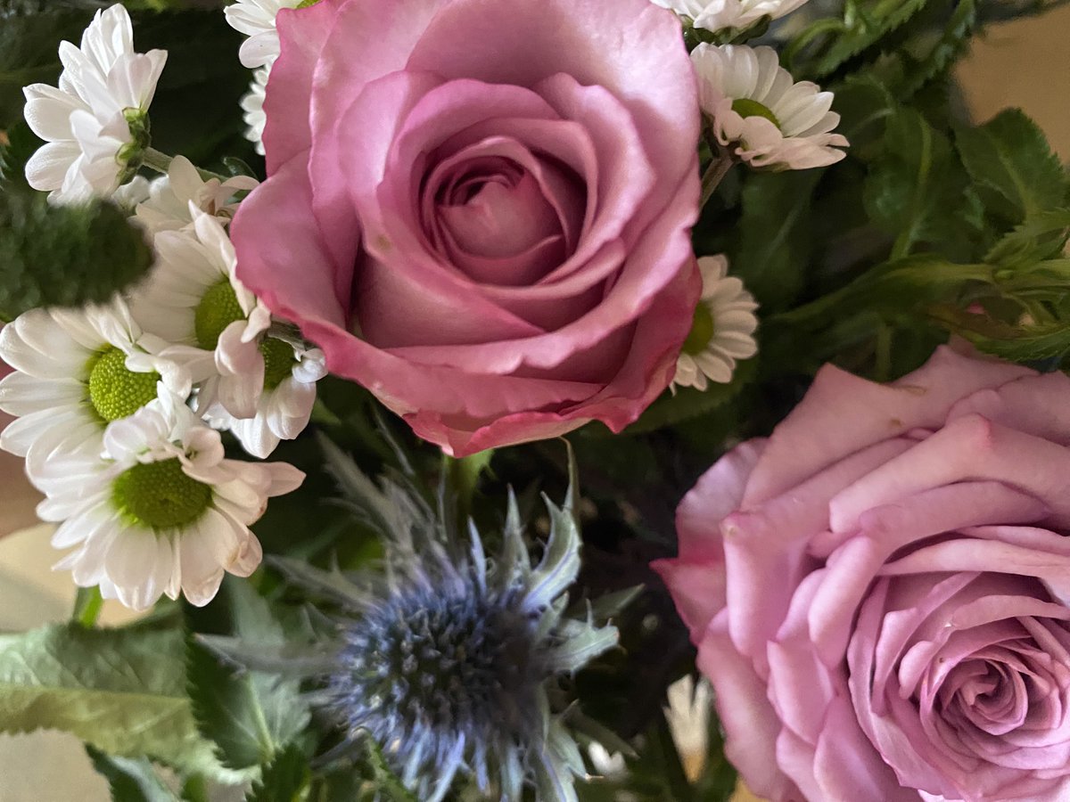 Morning lovers ❤️🩷

I think it‘s time for some bloom 
Colour blast for the room
A dash of pink &amp; a green
How have you been ? 😘💋