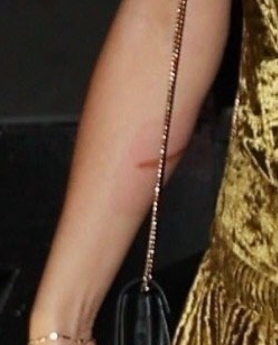 kristy⸆⸉🦦❤️‍🔥 tweet media