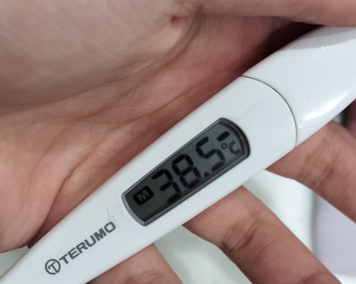 バシロティヤン tweet media
