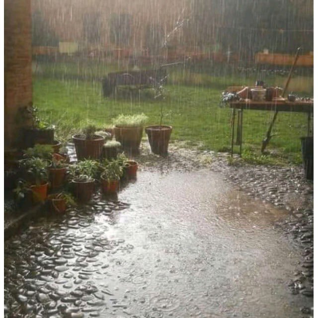 This place reminds me of my grandma little garden..I miss you grannie 💜💓