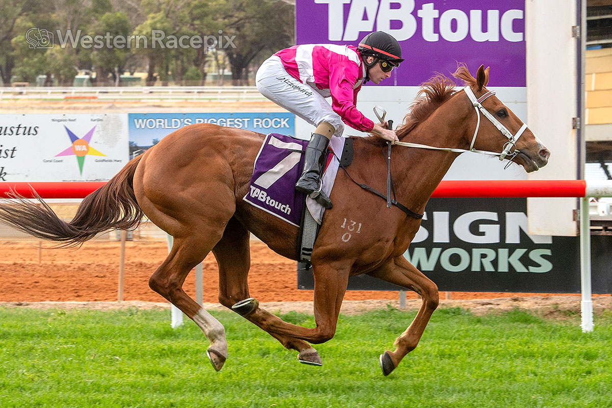 Western Racepix tweet media