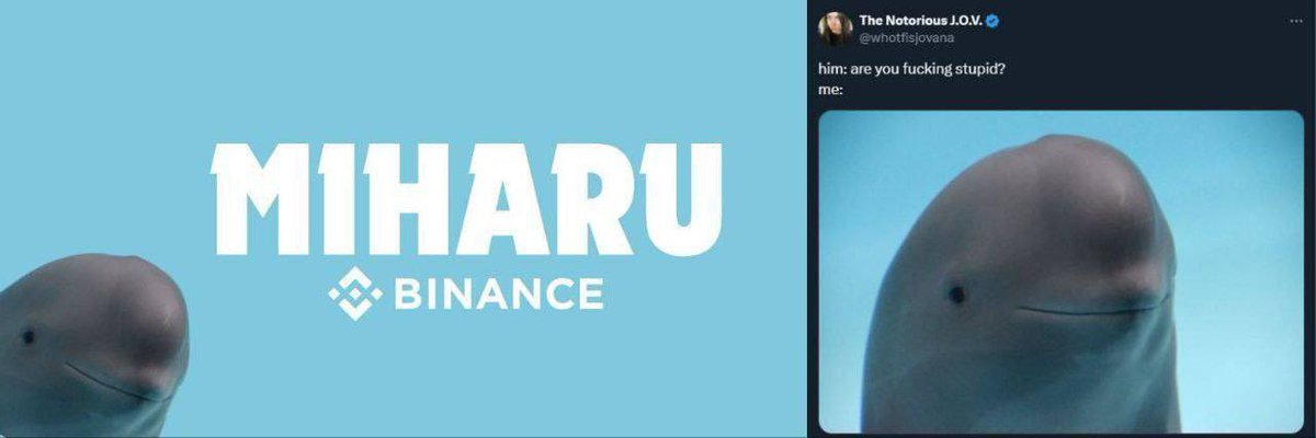 KoLarCaLL's tweet photo. #MIHARU | WL BSC | Based
Note | #PitBoy Come again with New project called #MIHARU Small Hard-Cap 40 BNB Max Buy 0.4 BNB #PitBoy It’s good past Record And one my favourite Developer let’s see how hard push this time expecting Good x 🚀
@miharubsc @JacksonPitBoy
@BSCGEMSWHALE https://t.co/qLznV8ZzsV