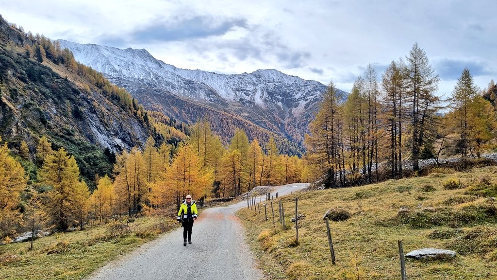 hansterbraak's tweet image. We wandelen, op 2000m, naar de voet van de #Grossglockner.
#Kals