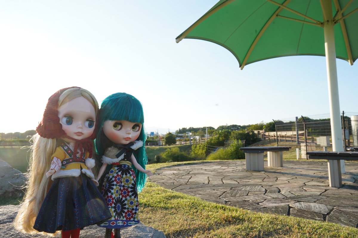 nekojarashi_A_A's tweet photo. ブライスと一緒なら、ウォーキングも楽しくできる☺️
ケンドラザビブリオファイルとマラケシュメランジュとお散歩✨

#ネオブライス #ブライス https://t.co/CMzGD4Yt27