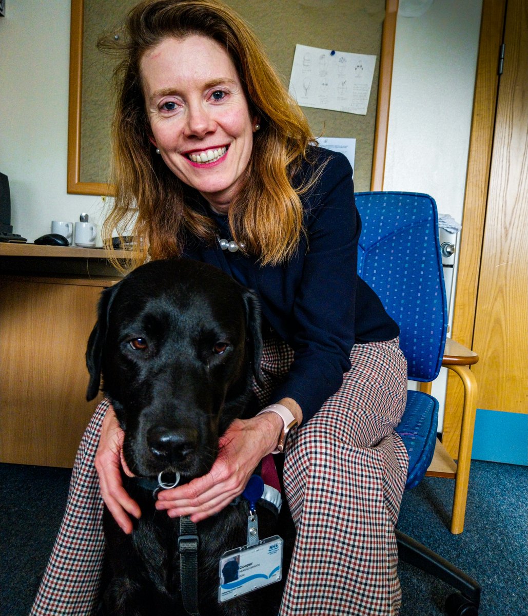 NHS Greater Glasgow and Clyde (@nhsggc) on Twitter photo Meet Cooper, our newest team member. He's a Hearing Dog owned by Consultant Neurologist Dr Helen Grote, who joined us recently - and the pair of them are already making a big impression!
Read Cooper's, and Helen's, story: nhsggc.scot/nhsggc-welcome…
<a href="/HearingDogs/">Hearing Dogs for Deaf People</a> #NHSGGC #QEUH Meet Cooper, our newest team member. He's a Hearing Dog owned by Consultant Neurologist Dr Helen Grote, who joined us recently - and the pair of them are already making a big impression!
Read Cooper's, and Helen's, story: nhsggc.scot/nhsggc-welcome…
<a href="/HearingDogs/">Hearing Dogs for Deaf People</a> #NHSGGC #QEUH