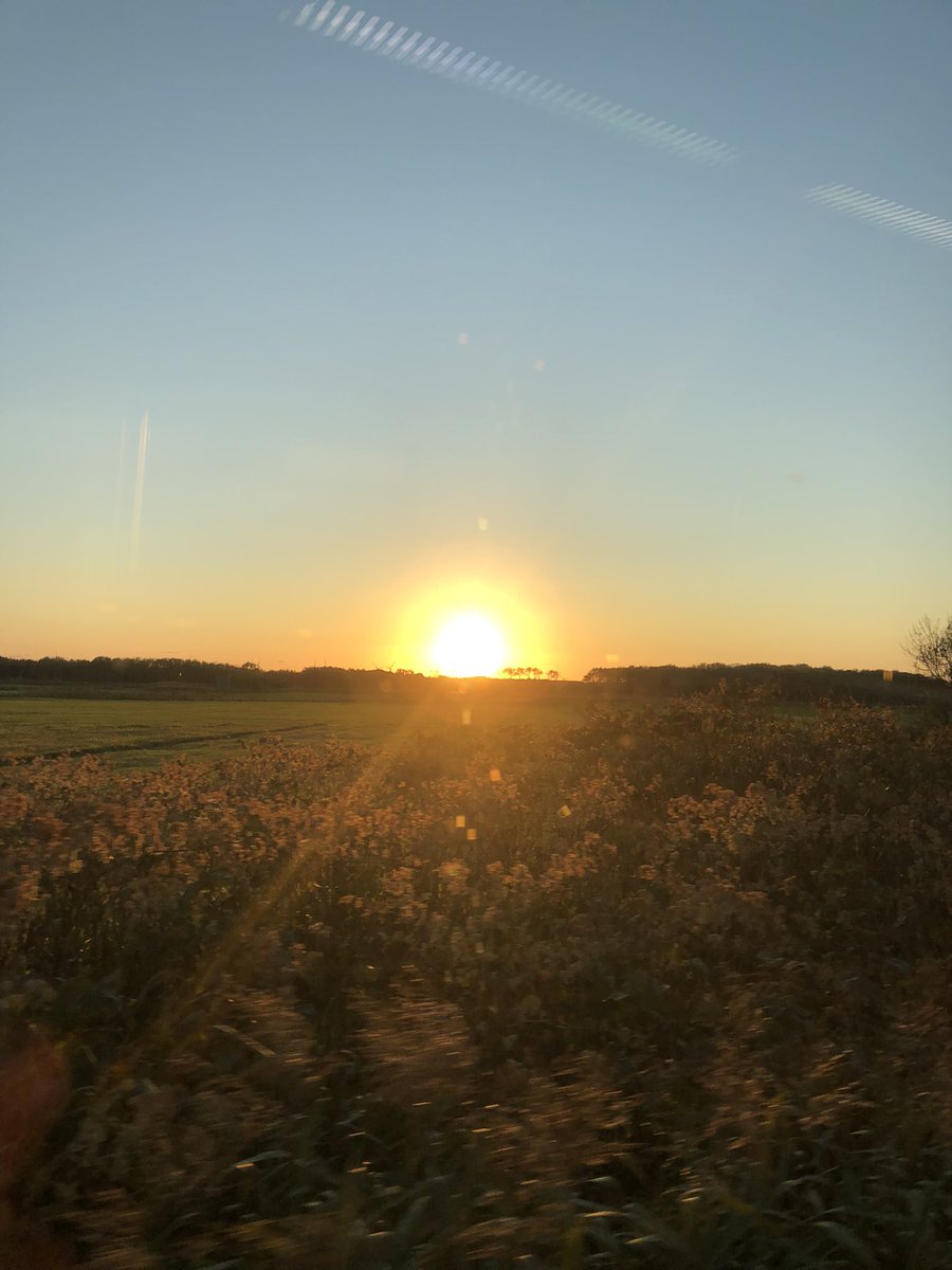 TypeSho's tweet image. great