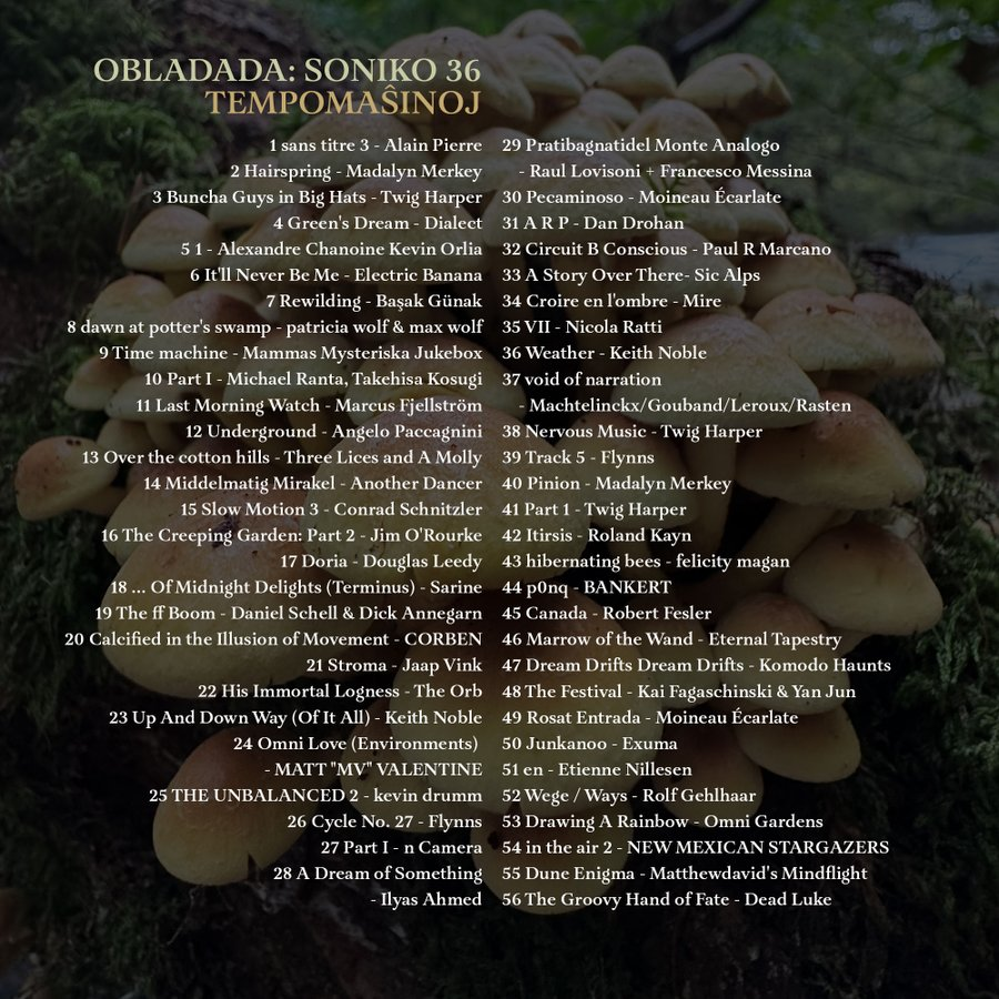 CAMP Radio tweet media