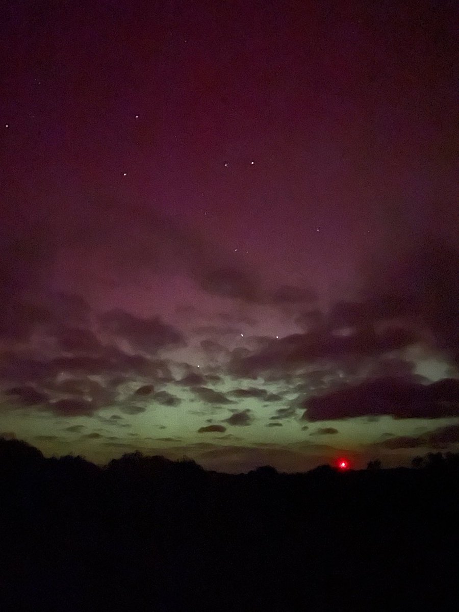 And bonus views of a gorgeous convulvulus hawk moth in <a href="/MigrationMatt/">Matt Hobbs</a>’s trap, and the northern lights!