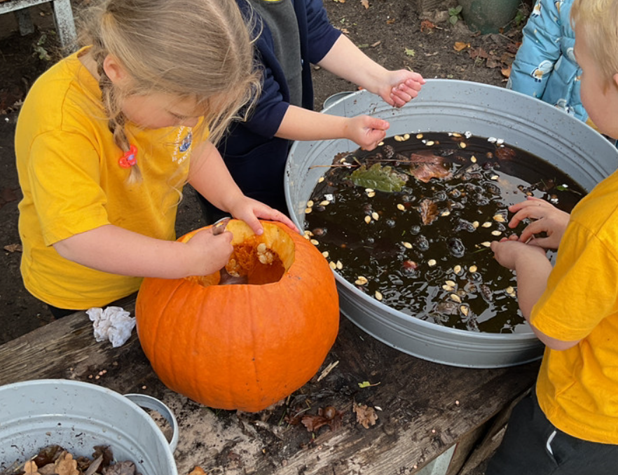 EYFSStMargaret1's tweet image. Finally, we worked together as a team in our outdoor kitchen to scoop the inside of the pumpkin out and make our very own 'pumpkin soup'! @HelenCooperbook #eyfsoutdoors #qualitytexts #eyfsprovision