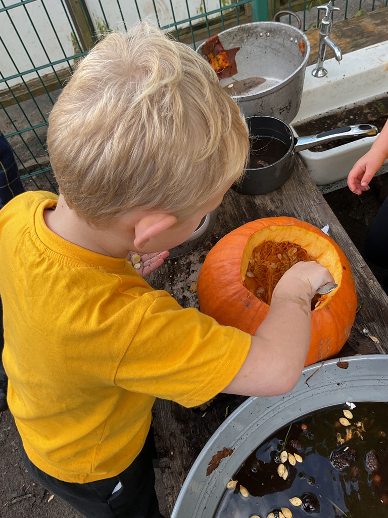 EYFSStMargaret1's tweet image. Finally, we worked together as a team in our outdoor kitchen to scoop the inside of the pumpkin out and make our very own 'pumpkin soup'! @HelenCooperbook #eyfsoutdoors #qualitytexts #eyfsprovision