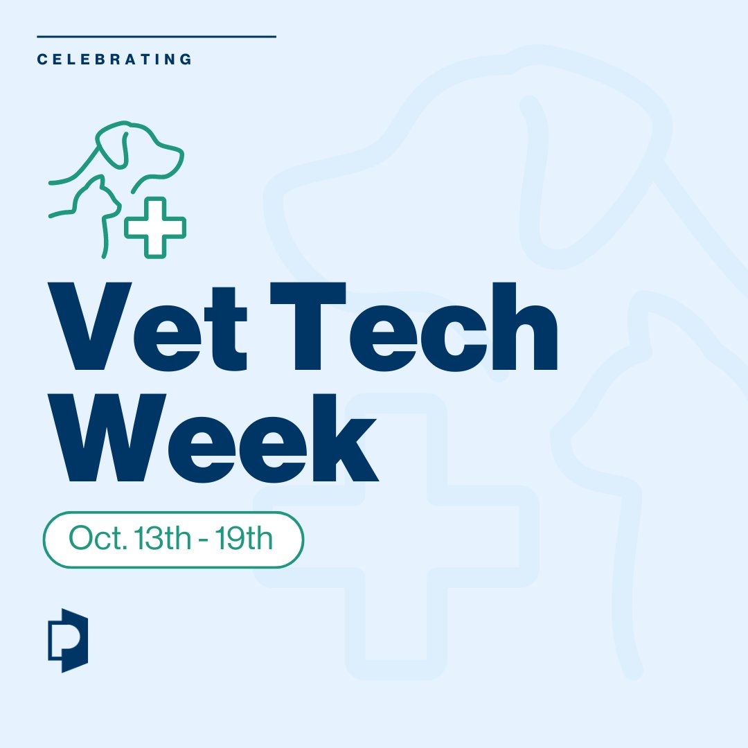 PennFoster's tweet image. It’s #NationalVeterinaryTechnicianWeek! We’re excited to honor our dedicated veterinary technicians who tirelessly care for all animals, big and small. 🐾💕

#VetTechWeek #VetTech #VeterinaryTechnician