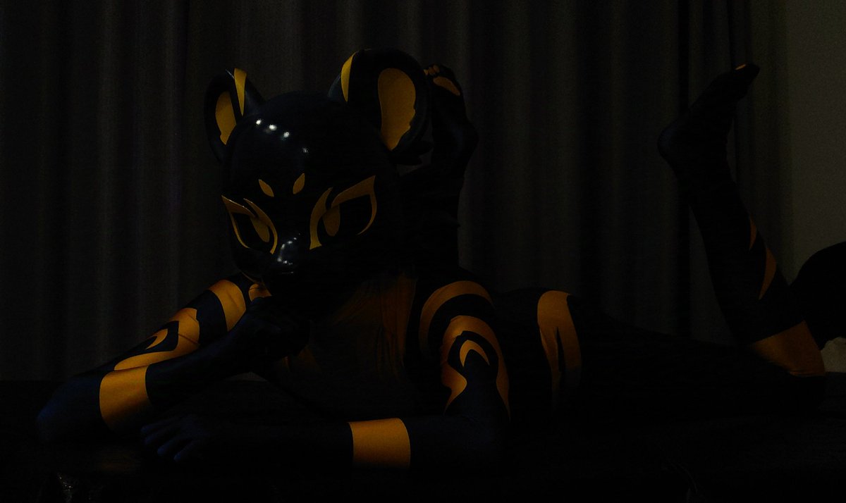 天还黑着，躺下吧，慢慢听，我们的故事才刚刚开始～