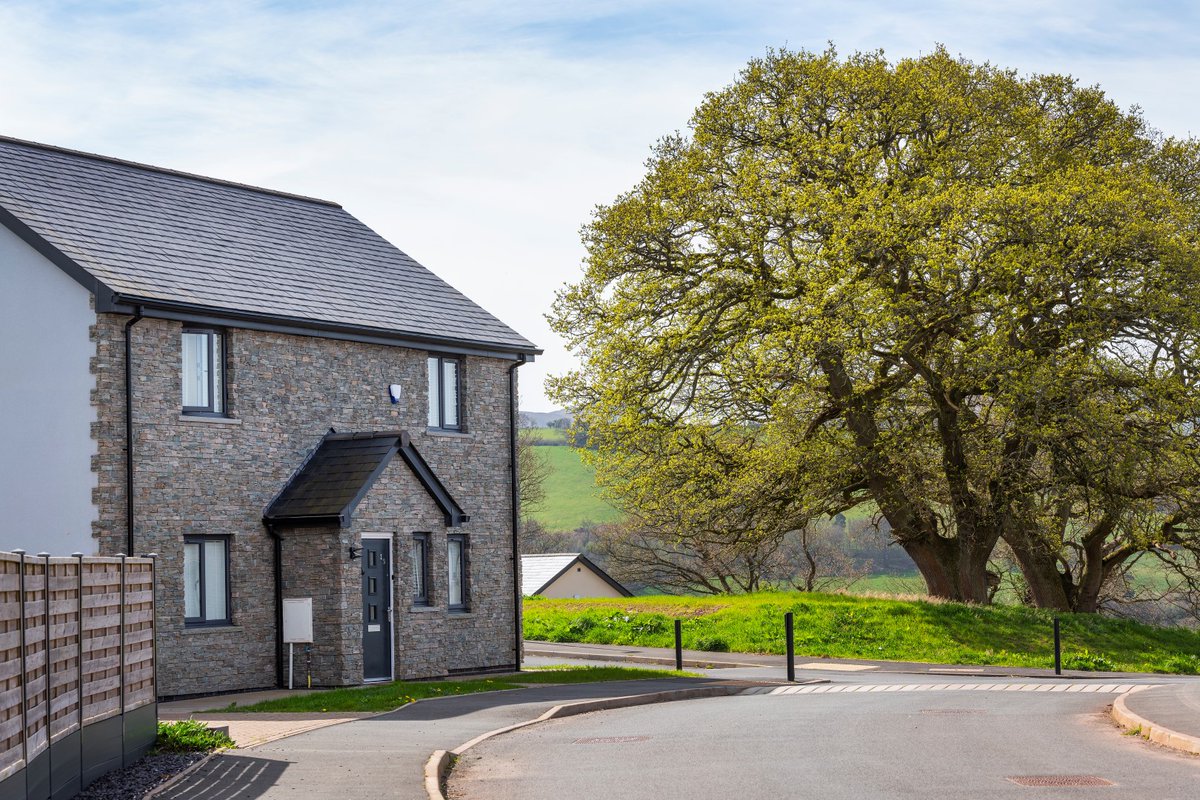 Taylor Maxwell tweet media