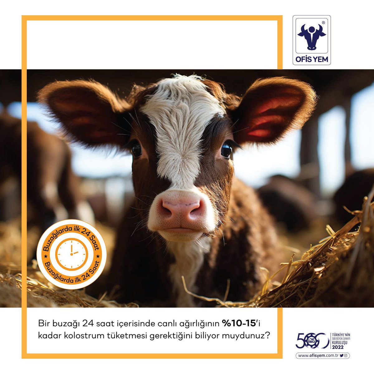 ofisyem's tweet photo. Bunları biliyor muydunuz?
.
#ofisyem #hayvancılık #besi #besicilik #ziraat #mandıra #farm #cow #cows #calf #yem #inek #dana #koyun #kuzu #büyükbaş #küçükbaş #koyunyemi #hayvanyemi #veteriner https://t.co/AlftTTNH6F