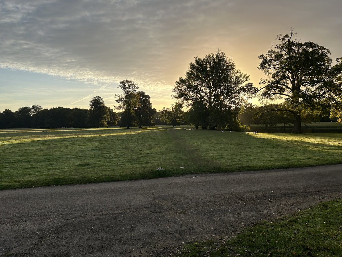 Always a struggle to get up on autumn mornings when it’s still dark. But then I get to go and ring a QP in this fantastic location!