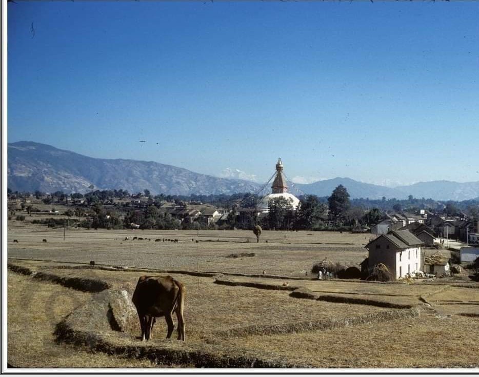 बाउबाजेले उतिबेला शहर झरेर हजार रोपनी पर्ने काठमाडौका फाँट किन्न सकेको म पनि दान गर्न सक्थेँ होला!टाठाबाठा शहर पसे,रैथाने नेवारहरुको फाँटै किन्दिए,नेवार जिल्लाराम!लाटाबुँङ्गा गाउँमै रहे अहिले पहिरोले गाउँ नै बगायो!जोसंग जग्गा धेरै थियो दान गर्यो!को को रिस चुप लाग भाइ हो!