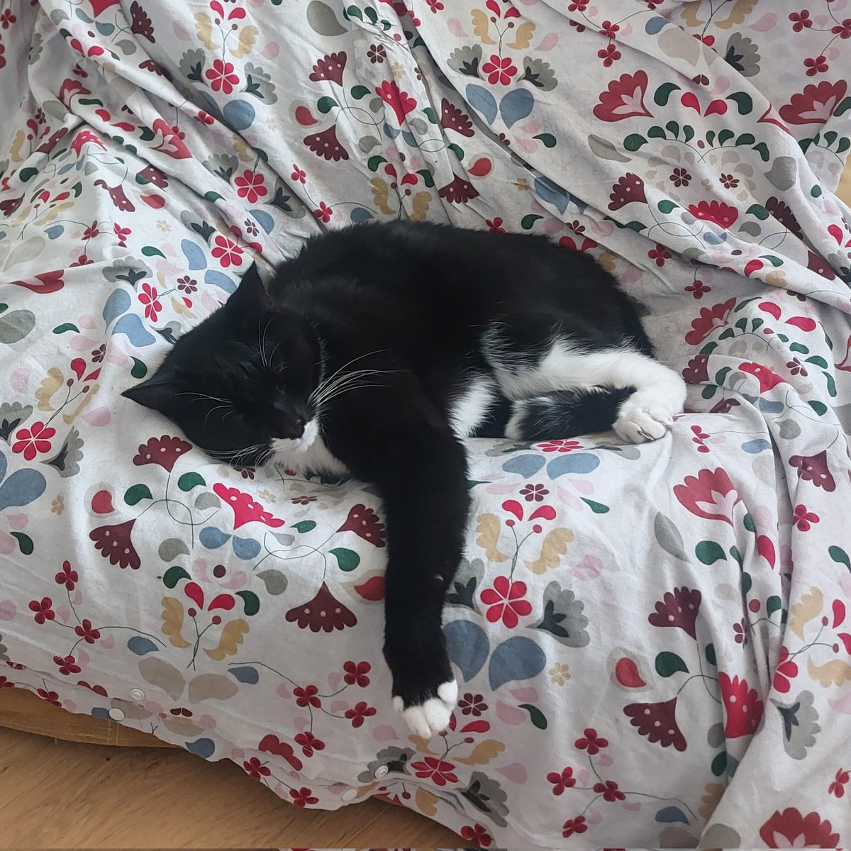 Rogue & Ranger tweet media