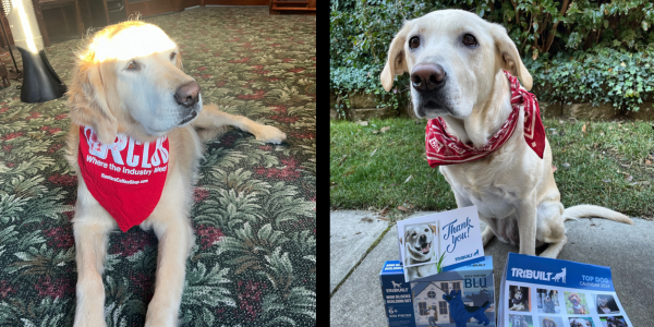 CoatingsCS's tweet image. Show off your hardworking, four-legged partner or loyal companion in this year’s Top Dogs Calendar Contest:

coatingscoffeeshop.com/post/calling-a…  

#BeaconBuildingProducts #TRIBUILT #CoatingsCoffeeShop #CommercialRoofing #RoofingContractor #RoofersCoffeeShop #RoofRepair #RoofRestoration