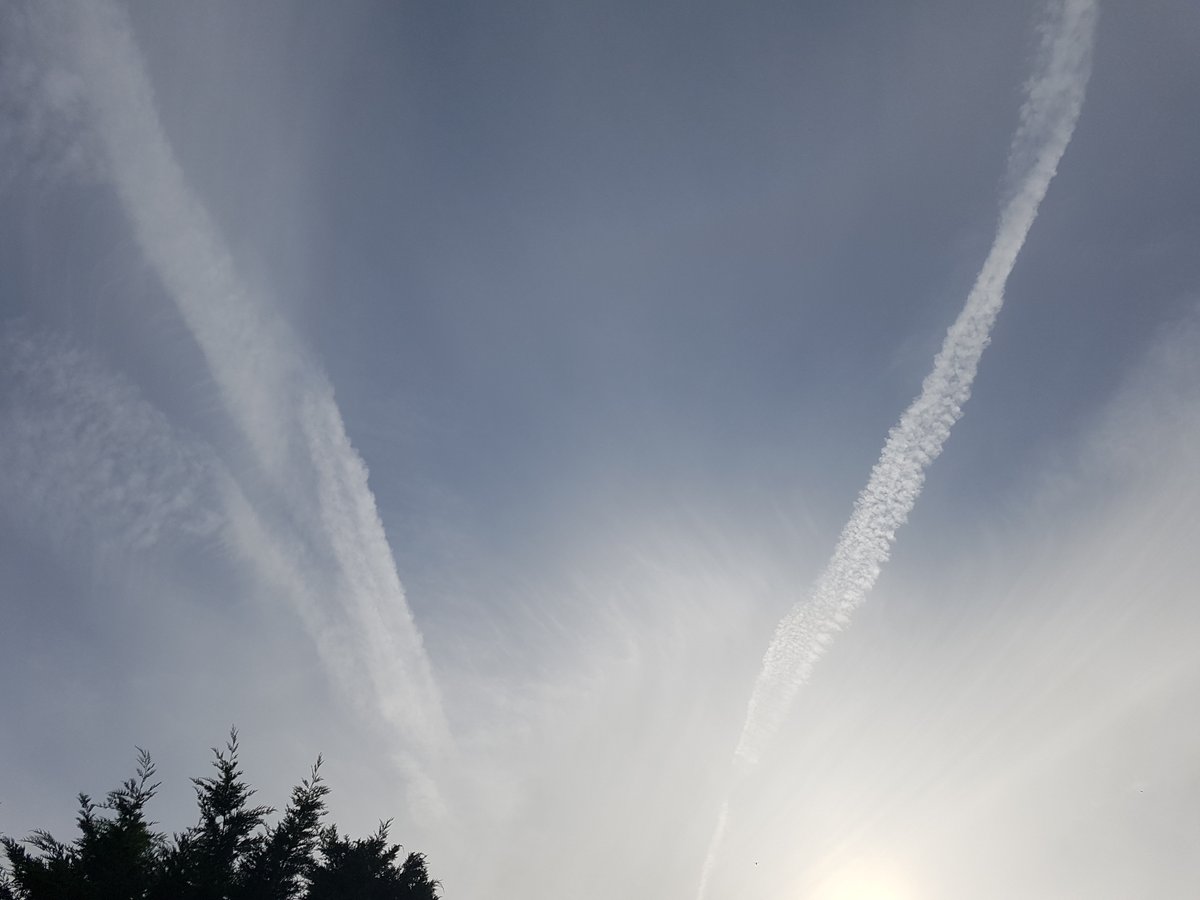 Colliedogwalker's tweet image. They are at it again at 16:09 South Coast @CarolineCoramUK