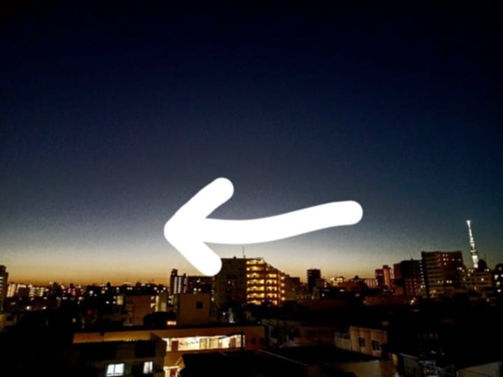 Pascale Desmet tweet media