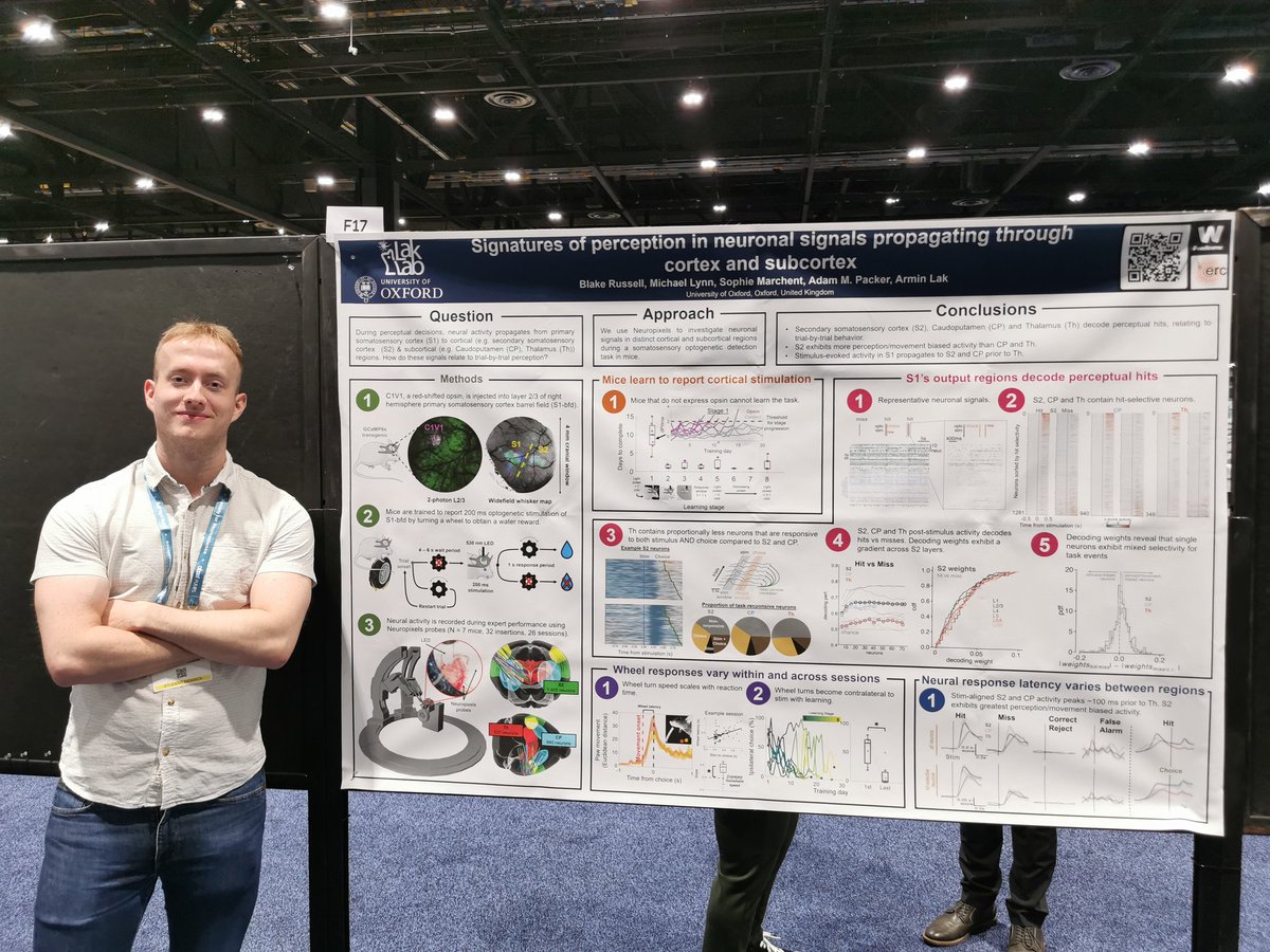 With #SFN2024 coming to an end, I just wanted to say thank you to everyone that came to see my poster! There were some really insightful comments and suggestions that I'm excited to take on board