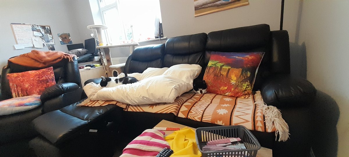 Baba, Nalu & Sanji tweet media